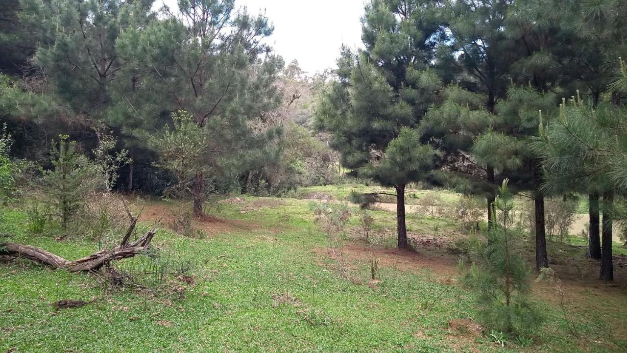Chale Estancia Ouro Verde Lages Exteriér fotografie